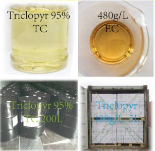 Triclopyr-Butotyl 95%Tc, 480g/L Ec